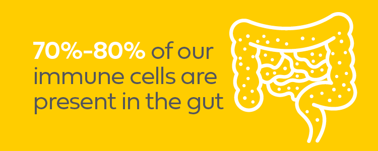70% of our immune cells are present in our gut