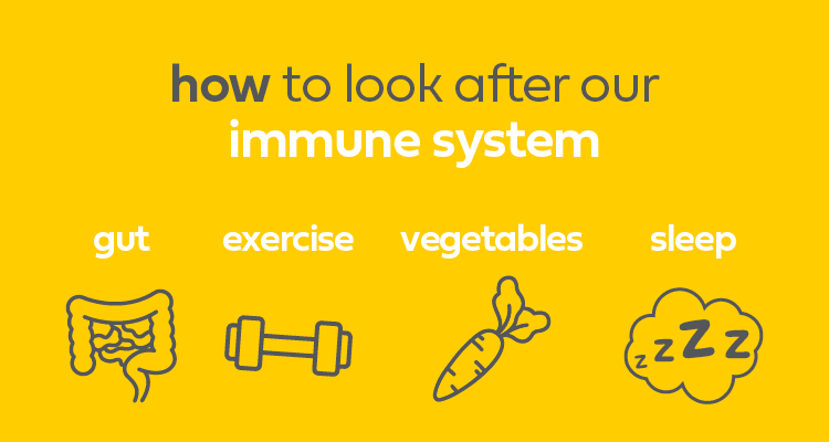 How to look after our immune system?